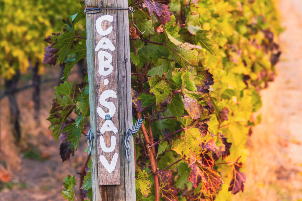 cabernet sauvignon sign at vineyard