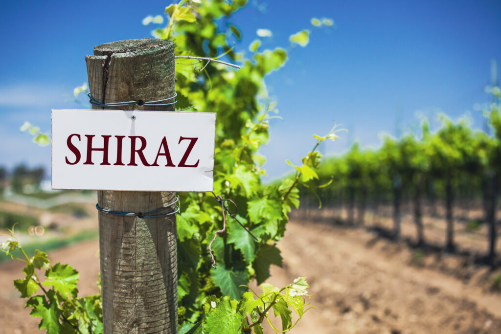 shriaz sign on vineyard