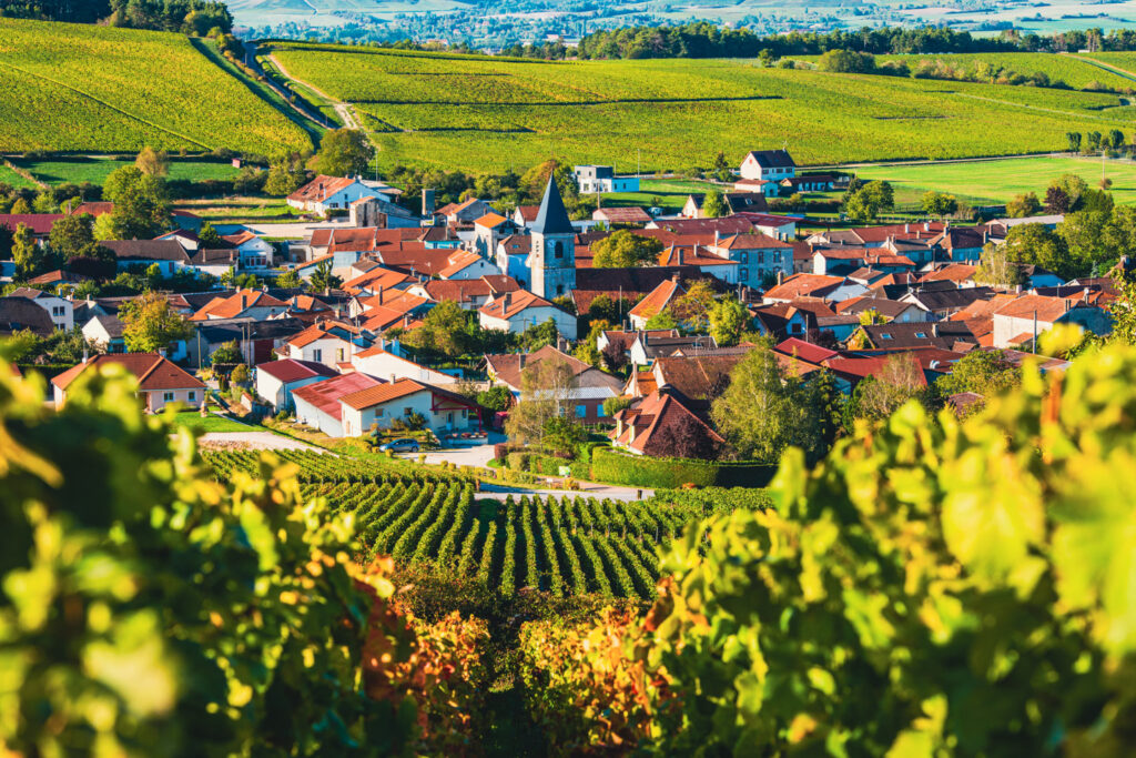 champagne region